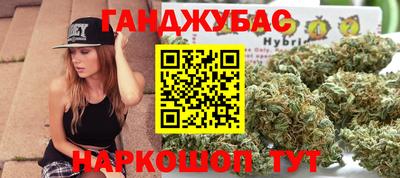 спиды Кингисепп