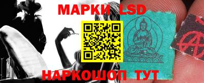 спиды Кингисепп