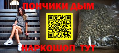 спиды Кингисепп