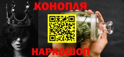 спиды Кингисепп