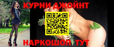 спиды Кингисепп