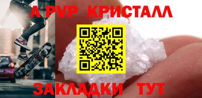спиды Кингисепп