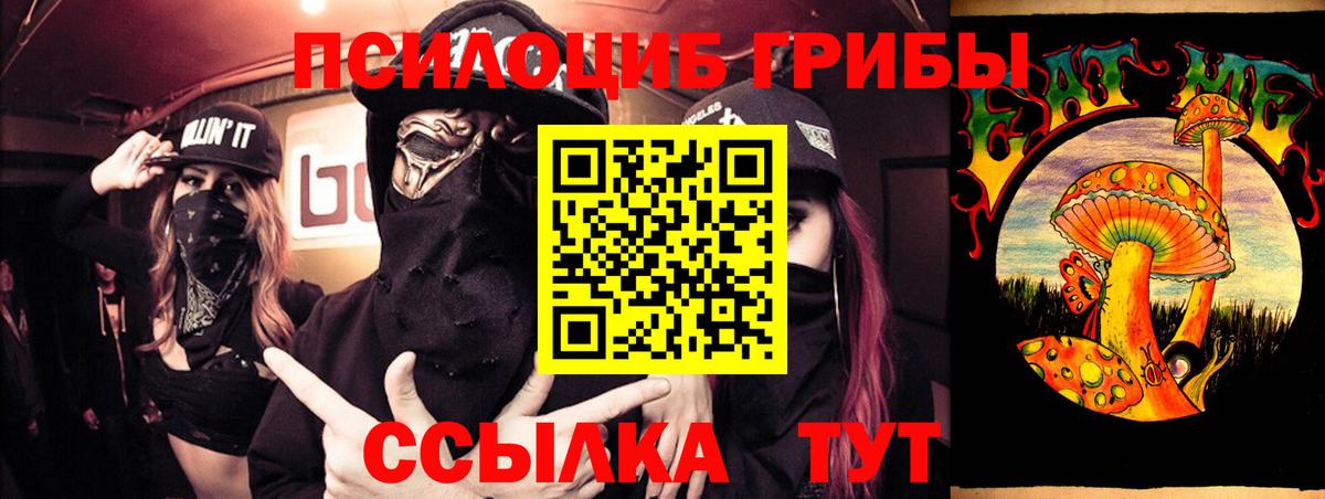 Краснознаменск  Галлюциногенные грибы MAGIC MUSHROOMS  Вход с VPN 